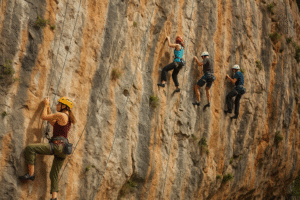 physical activities in the forest